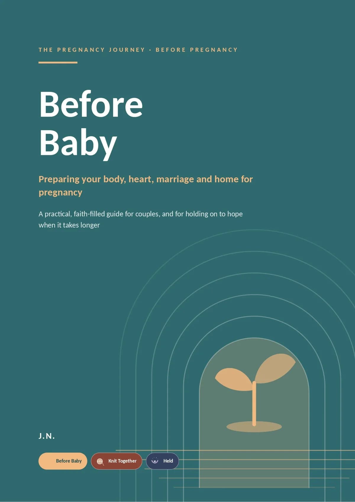 Before Baby: Preparing Your Body, Heart, Marriage and Home for Pregnancy
